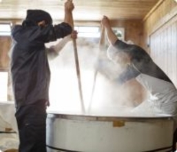 “発酵県ちば”で受け継がれる酒造り今注目すべき酒蔵6選をご紹介！