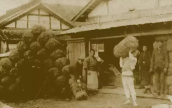 「“発酵県ちば”で受け継がれる酒造り今注目すべき酒蔵6選をご紹介！」の画像