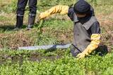 「新入社員が畑で学んだ、生産者の想い。仙台産レタスを料理長とともに一皿へ」の画像3