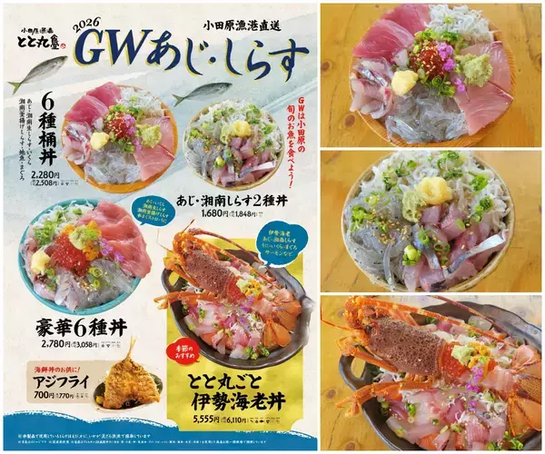 GW限定「あじ・しらすフェア」開催！小田原漁港直送！旬のアジと湘南しらすを堪能できる豪華海鮮丼や伊勢海老丼など期間限定メニューが登場