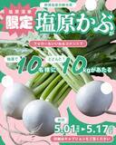 「【SNSキャンペーン】総計100kg！ 那須塩原ブランド「塩原かぶ」10kgを10名様にプレゼント！」の画像1