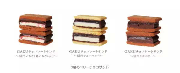 「「信州ショコラトリーGAKU サマーベリーセレクション2026」信州の大地が育てた夏のベリーとチョコレートの出会い」の画像