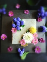 栗と抹茶の浮島に、あんクリームで秋の草花を表現　新ブランド「季花」、ケーキ「花暦〈秋〉」を9月14日発売