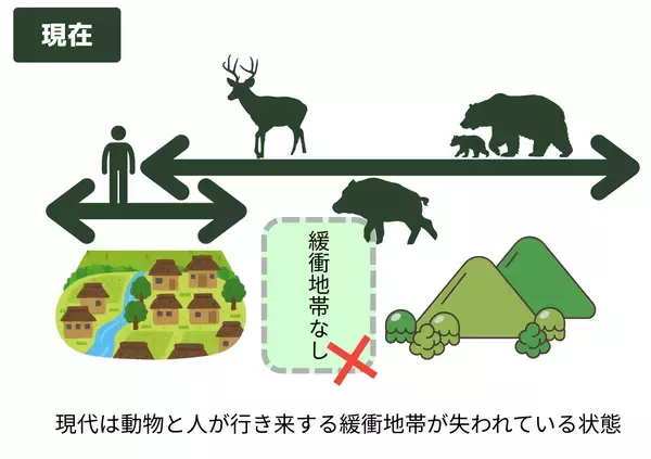 「【駆除から共存へ】兵庫県発、放置柿の活用と持続可能な農法で新たな獣害対策を」の画像