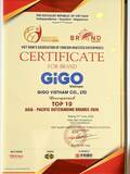 「「GiGOベトナム」が、アジア太平洋経済フォーラム2026にて「Asia-Pacific Outstanding Brands Award Top 10」を受賞」の画像2