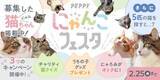 「【2/25まで】2月のペピイは猫まみれ！？「PEPPYにゃんこフェスタ」を開催！」の画像1
