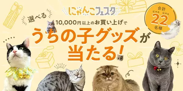 「【2/25まで】2月のペピイは猫まみれ！？「PEPPYにゃんこフェスタ」を開催！」の画像