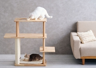 温かみのある天然木のインテリアタワー2種類が新登場！「天然木のキャットシェルフ」と「天然木のラウンドステップタワー」を発売