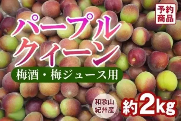 「日本一の収穫量を誇る和歌山県の梅をＪＡタウンで販売開始！　　」の画像