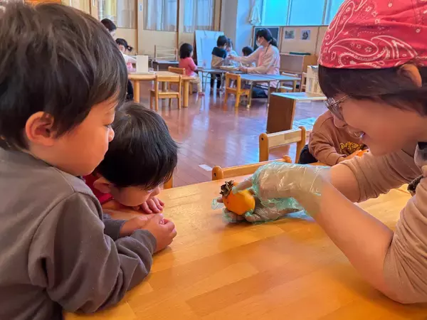 「0・1・2歳から五感で学ぶ日本の食文化　大阪信愛学院幼稚園で毎年恒例の「干し柿作り」を実施」の画像