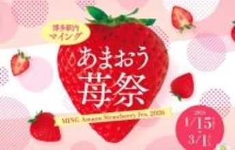 「マイングあまおう苺祭2026」開催！あまおう商品は90種以上！あまおう苺の魅力を博多から世界へ発信します。【博多のあまおう処マイング】