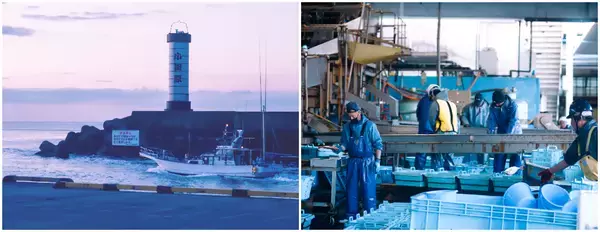 「“魚のテーマパーク”漁港の駅TOTOCO小田原　鯵・鯖が主役のブランド「魚の灯り」より全11商品を4月22日発売」の画像