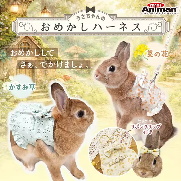 ドギーマンハヤシの小動物ブランド「ミニアニマン」から『うさちゃんのおめかしハーネス』が2月20日に発売！