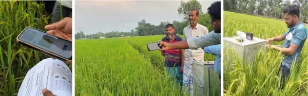 「両備システムズ、バングラデシュにおける農業DX実証事業の成果を現地政府等へ報告」の画像