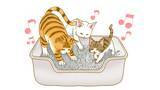 「猫のお世話をする人の72％が猫砂の粉じんが気になると回答！「猫砂に関する悩み・意識調査」に関する調査結果を報告」の画像4