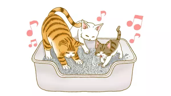 「猫のお世話をする人の72％が猫砂の粉じんが気になると回答！「猫砂に関する悩み・意識調査」に関する調査結果を報告」の画像