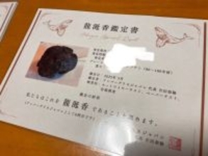 【日本初】龍涎香の無料鑑定サービスを開始～奄美市への寄贈を契機に、海からの贈り物を広く共有する文化を～