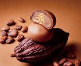 「【青木松風庵】2026年1月9日(金)より「チョコレートフェア2026」を開催！」の画像4