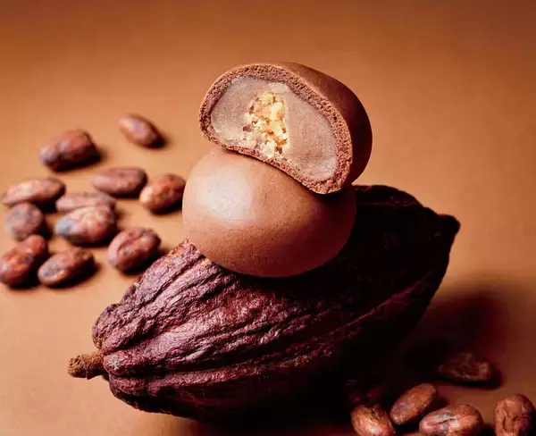 「【青木松風庵】2026年1月9日(金)より「チョコレートフェア2026」を開催！」の画像