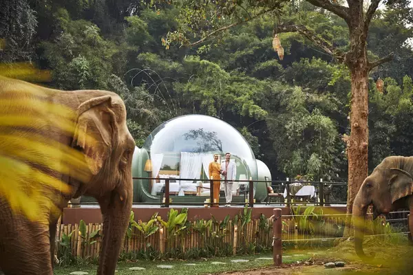 「マイナー・ホテルズ「2026年 旅行トレンドレポート」を発表　旅への楽観ムードと、人との“つながり”を求める新たな旅の潮流が浮き彫りに」の画像