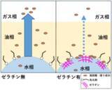 「マーガリン類でゼラチンが香り成分の放出に影響することを確認　若手研究者奨励賞を受賞」の画像1