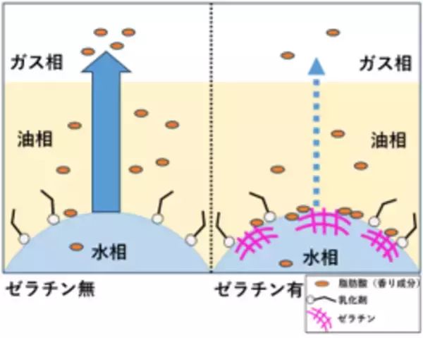 マーガリン類でゼラチンが香り成分の放出に影響することを確認　若手研究者奨励賞を受賞