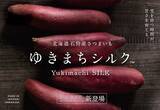 「北海道・長沼町の農家「みなみ農産」、石狩・生振地区で生産するさつまいもをブランド化。自社ブランド「ゆきまちシルク™」をリリース」の画像1