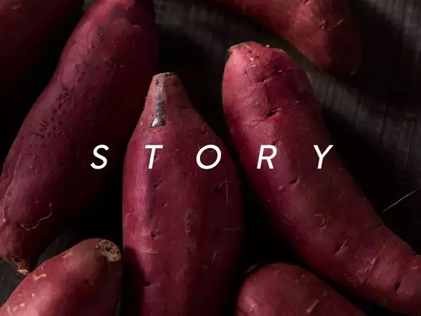 「北海道・長沼町の農家「みなみ農産」、石狩・生振地区で生産するさつまいもをブランド化。自社ブランド「ゆきまちシルク™」をリリース」の画像