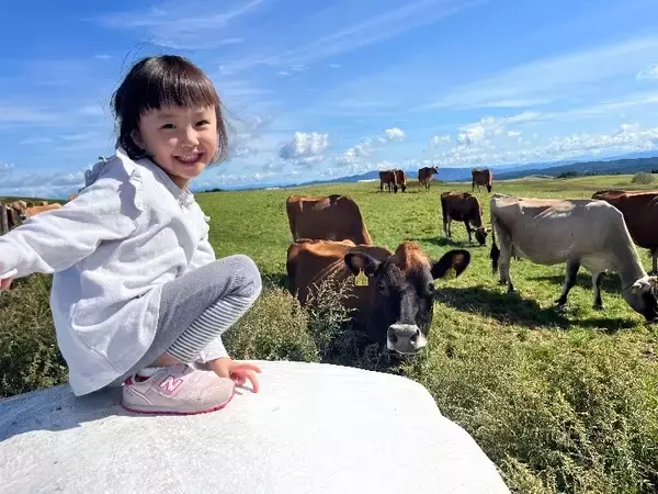 「笑顔あふれる写真が大集結！ 「第3回みんなのおもいでフォトコンテスト」結果発表」の画像