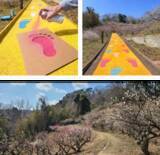 「総合社会学部の村松ゼミが奈良・黒谷公園の「価値化」に挑戦　地域住民と公園内に足型を描く「フトプリイベント」を開催」の画像1