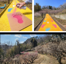 総合社会学部の村松ゼミが奈良・黒谷公園の「価値化」に挑戦　地域住民と公園内に足型を描く「フトプリイベント」を開催