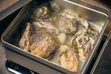 「4月14日グランドオープン！新宿の人気隠れ家バル「魚介イタリアン&チーズUMIバル」が待望のリニューアルオープン」の画像4