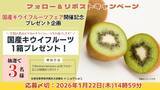 「爽やかな甘酸っぱさが人気の冬の注目フルーツ 全農直営飲食店舗で「国産キウイフルーツフェア」を １月９日（金）～１月２２日（木）に開催」の画像3