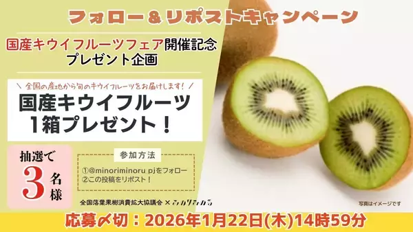 「爽やかな甘酸っぱさが人気の冬の注目フルーツ 全農直営飲食店舗で「国産キウイフルーツフェア」を １月９日（金）～１月２２日（木）に開催」の画像
