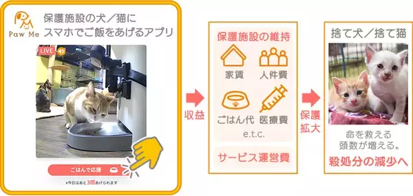 「保護犬／猫にスマホでごはんをあげる「Paw Me」限定公開テスト開始」の画像