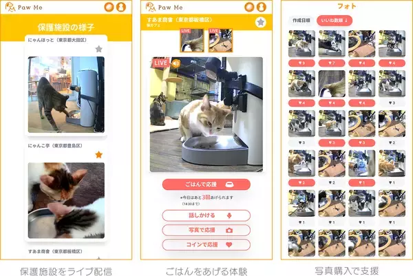 「保護犬／猫にスマホでごはんをあげる「Paw Me」限定公開テスト開始」の画像