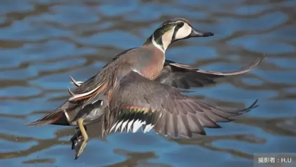 「社会課題をともに「知る・学ぶから、はじまる未来。」―「地球の学校」に、空き家問題と未来のまちづくりを考える記事を公開―」の画像