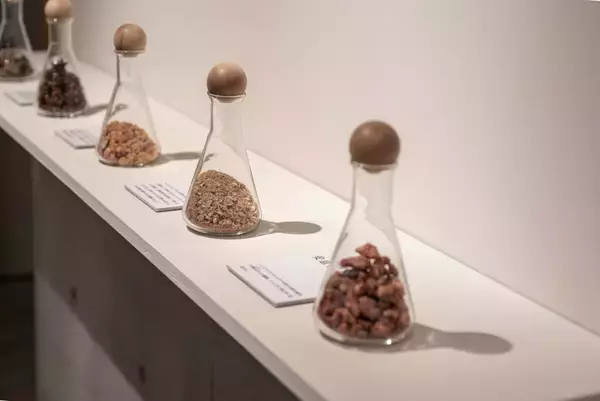 「「言葉でつなぐ、私と香り展」金沢21世紀美術館にて 2026年4月29日より開催」の画像