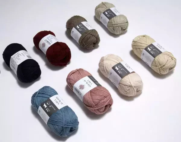 編むことが、社会を変える力になる。SHOKAY ニット・フォー・グッド・プログラムを正式に始動