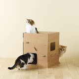 「ペピイが「普通のダンボールより楽しいダンボールの小屋」など新商品を4月21日から発売開始！」の画像1