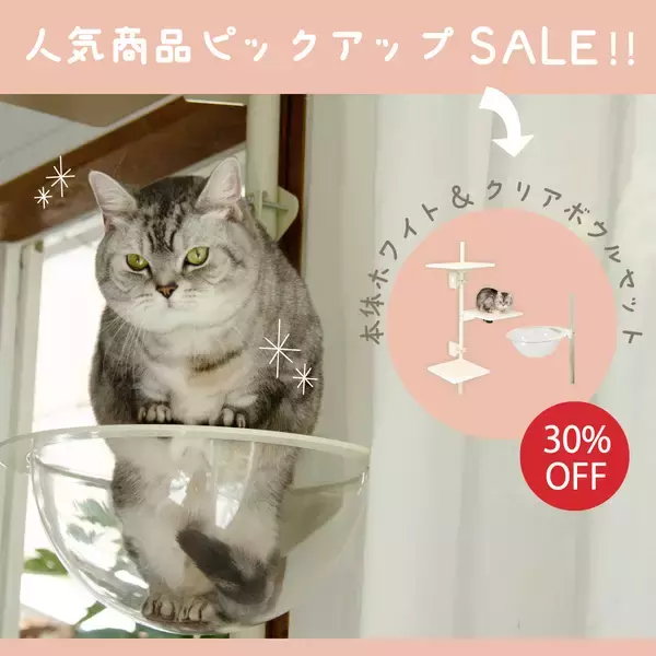 「窓枠につけるキャットタワー！「ねこゴロン」シリーズ　売れ筋商品が30％OFF！お得なセールを11/20(木)～期間限定開催」の画像