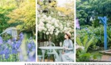 ROKKO森の音ミュージアムフェア「ハーモニー・オブ・ガーデン」六甲山のナチュラルガーデンのフラワーシーズン到来2026年3月14日（土）～8月21日（金）