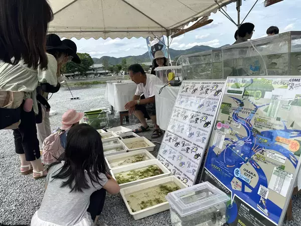 「【39年続く嵐山の初夏の風物詩】「嵐山若鮎祭2026」6月13日・14日開催　数量限定の若鮎チャリティーイベント」の画像