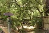 「【都立9庭園】和傘で庭園めぐり　7月11日（土）～９月27日（日）」の画像1