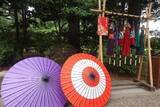 「【都立9庭園】和傘で庭園めぐり　7月11日（土）～９月27日（日）」の画像2