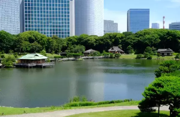 「【都立9庭園】和傘で庭園めぐり　7月11日（土）～９月27日（日）」の画像