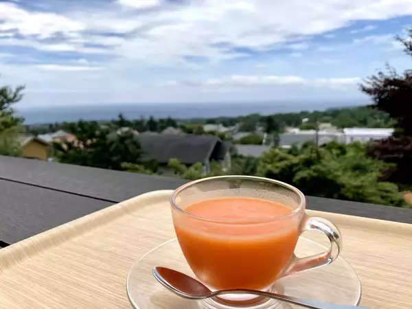 「やすらぎの里が1/4から新年限定キャンペーン開催お正月を楽しんだ後は、伊豆高原で「胃腸と心を休める旅」へYahoo!ニュース、NewsPicksで紹介され話題！」の画像