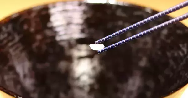 「Makuake支援総額835万円突破！箸先約1.7mm×0.2mm微細加工で「掴みやすさ」を追求した64チタン箸「蒼律」」の画像