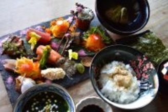 “鎌倉で楽しむ体験型ランチ”「馳走かねこ」にて子供から大人まで楽しめる、自分で巻く『彩り手巻き寿司コース』を再開！