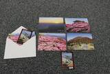 「～山の日は『別府のてっぺん鶴見岳』へ～」の画像1